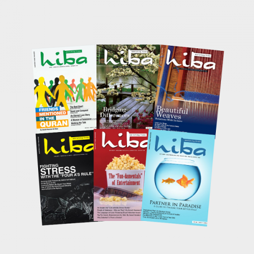 hiba Gold Pack (6 Magazines)
